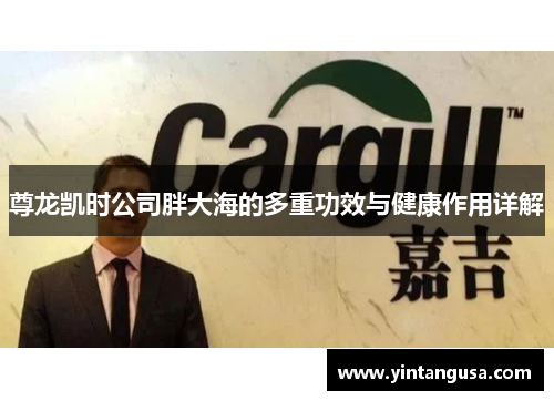 尊龙凯时公司胖大海的多重功效与健康作用详解