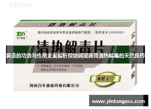 黄连的功效与作用全面解析帮助调理肠胃清热解毒的天然良药