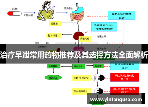 治疗早泄常用药物推荐及其选择方法全面解析